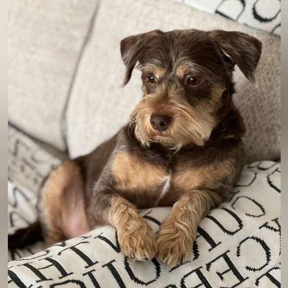 About Me Sylvia avocado2006 - Picture 5 of 11